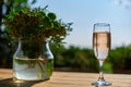 Terrace, Glass with champagne on a wooden table. Royalty Free Stock Photo