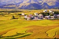 Terrace at guizhou china Royalty Free Stock Photo