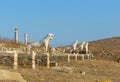 The Terrace of the Lions, Delos, Greece