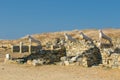 The Terrace of the Lions, Delos island, Greece Royalty Free Stock Photo