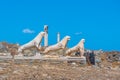 The terrace of the lions at Delos island in Greece Royalty Free Stock Photo