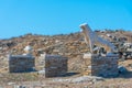The terrace of the lions at Delos island in Greece Royalty Free Stock Photo
