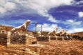 The Terrace of the Lions on Delos island