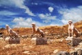 The Terrace of the Lions on Delos island