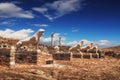 The Terrace of the Lions on Delos island