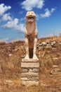 The Terrace of the Lions on Delos island Royalty Free Stock Photo