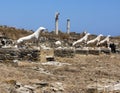 Terrace of the Lions in Delos