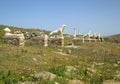 Terrace of the Lions with the Famous Lions of the Naxians` Statues, Archaeological Site of Delos, Delos Island
