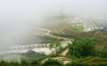 Terrace rice field at irrigate season in Sapa Royalty Free Stock Photo