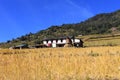 Terrace Rice Paddy Field,Nepal. Royalty Free Stock Photo