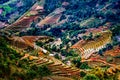 Terrace ricefield in Hoang Lien Son Mountain Range, North of Vietnam.