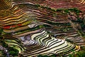 Terrace ricefield in Hoang Lien Son Mountain Range, North of Vietnam. Royalty Free Stock Photo