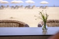 Terrace table on a beach adorned by small flowers