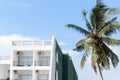 Terrace white color in hotel with a palm tree against blue sky. Royalty Free Stock Photo