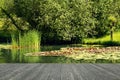 Terrace with a wonderful view. Garden pond with water lilies and green banks. Living with joy in nature Royalty Free Stock Photo