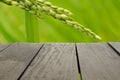 Terrace wood and beautiful paddy rice for background usage