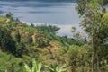 Terraced Field by Lake Ruhondo, Rwanda
