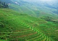 Terraced field and village