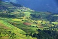 Terraced fields