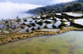 Terraced fields