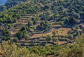 Terraced fields Mugla, Turkey