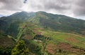 Terraced fields of Dieng plateau, Java, Indonesia Royalty Free Stock Photo