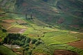 Terraced fields of Dieng plateau, Java, Indonesia Royalty Free Stock Photo