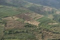 Terraced fields on the Dieng Plateau, Java Royalty Free Stock Photo