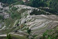 Terraced fields Royalty Free Stock Photo