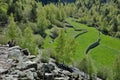 Terraced fields in Madriu-Perafita-Claror valley, Andorra