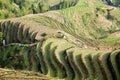 Terraced fields scenery Royalty Free Stock Photo