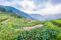 Terraced Fields Scenery in Chinese Mountainous Countryside Royalty Free Stock Photo