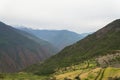 Terraced fields and snow montain range Royalty Free Stock Photo