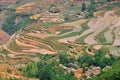 Terraced fields Royalty Free Stock Photo