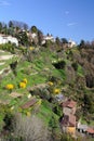 Terraced gardens to San Vigilio, Lombardy, Italy