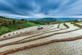 Terraced Paddy Field in Mae-Jam Village , Chaingmai Royalty Free Stock Photo