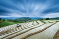 Terraced Paddy Field in Mae-Jam Village , Chaingmai Royalty Free Stock Photo