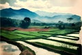 Terraced rice field in Bali, Indonesia. Vintage style.