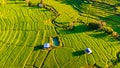 Terraced Rice Field in Chiangmai, Royal Project Khun Pae Northern Thailand