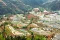 Terraced rice field in china.