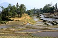 Terraced rice field of Hani ethnic people in Yuanyang, Yunnan province, China. Royalty Free Stock Photo