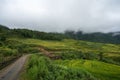 Terraced rice field landscape with low clouds in Y Ty, Bat Xat district, Lao Cai, north Vietnam