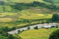 Terraced rice field landscape with river in harvesting season in Y Ty, Bat Xat district, Lao Cai, north Vietnam