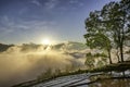 Terraced rice field landscape with road and big tree in Choan Then, Y Ty, Bat Xat