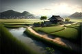 Terraced rice field in the morning with japanese house Royalty Free Stock Photo