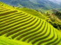 Terraced rice field in the mountains of Mu Cang Chai, Vietnam Royalty Free Stock Photo