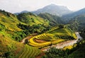 The terraced rice field in Mu Cang Chai, northern Vietnam Royalty Free Stock Photo