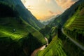 Terraced rice field in Mu Cang Chai, Vietnam Royalty Free Stock Photo