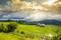 Terraced rice field with sun rays and dramatic sky in Pa Pong Pieng. Chiang Mai ,Thailand. Royalty Free Stock Photo