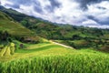 Terraced rice field view, La pa tan, Vietnam
